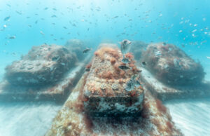 Miami Beach sumerge esculturas de autos para crear un arrecife y atraer fauna Miami Beach sumerge esculturas de autos para crear un arrecife y atraer fauna