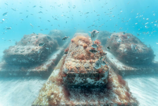 Miami Beach sumerge esculturas de autos para crear un arrecife y atraer fauna Miami Beach sumerge esculturas de autos para crear un arrecife y atraer fauna