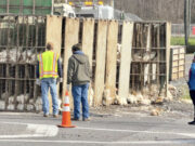 Camión de pollos se volcó en Tuscaloosa, dejando pollos sueltos en la carretera Camión de pollos se volcó en Tuscaloosa, dejando pollos sueltos en la carretera