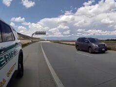 Guatemalteco acusado de morder a un agente del ICE durante una parada de tráfico Guatemalteco acusado de morder a un agente del ICE durante una parada de tráfico