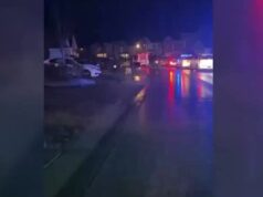 Hombre de 24 años recibe disparos en el vecindario de Chelsea Hombre de 24 años recibe disparos en el vecindario de Chelsea