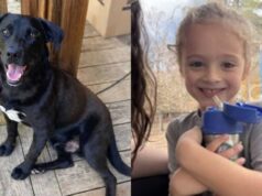 Niño de 4 años desaparecido hallado muerto tras 3 días de búsqueda en el condado de Walker Niño de 4 años desaparecido hallado muerto tras 3 días de búsqueda en el condado de Walker