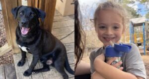 Niño de 4 años desaparecido hallado muerto tras 3 días de búsqueda en el condado de Walker Niño de 4 años desaparecido hallado muerto tras 3 días de búsqueda en el condado de Walker