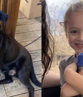 Niño de 4 años desaparecido hallado muerto tras 3 días de búsqueda en el condado de Walker Niño de 4 años desaparecido hallado muerto tras 3 días de búsqueda en el condado de Walker