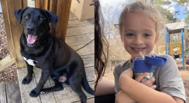 Niño de 4 años desaparecido hallado muerto tras 3 días de búsqueda en el condado de Walker Niño de 4 años desaparecido hallado muerto tras 3 días de búsqueda en el condado de Walker