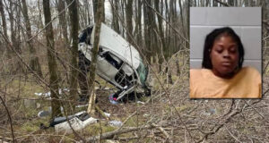 Una mujer choca contra árboles tras robar un Chick-fil-A y apostar el botín Una mujer choca contra árboles tras robar un Chick-fil-A y apostar el botín