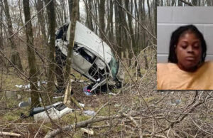 Una mujer choca contra árboles tras robar un Chick-fil-A y apostar el botín Una mujer choca contra árboles tras robar un Chick-fil-A y apostar el botín