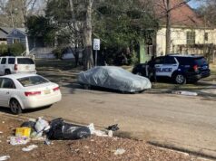 Una persona y un perro fueron baleados en Division Avenue el viernes por la tarde Una persona y un perro fueron baleados en Division Avenue el viernes por la tarde