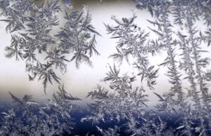 Universidades de Alabama alteran horarios deportivos por posible tormenta invernal Universidades de Alabama alteran horarios deportivos por posible tormenta invernal