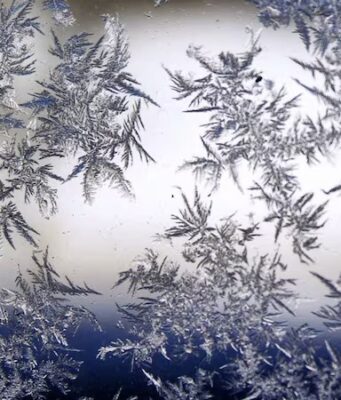 Universidades de Alabama alteran horarios deportivos por posible tormenta invernal Universidades de Alabama alteran horarios deportivos por posible tormenta invernal