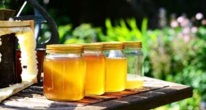 La verdad oculta detrás de la miel de supermercado La verdad oculta detrás de la miel de supermercado