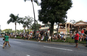 Sismo de magnitud 6,5 sacude el centro de México provocando daños en Guerrero Sismo de magnitud 6,5 sacude el centro de México provocando daños en Guerrero