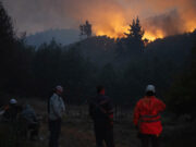 Sube a veinte el número de víctimas por incendios y capturan a sospechoso Sube a veinte el número de víctimas por incendios y capturan a sospechoso