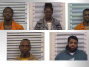 5 arrestados en Aliceville por cargos materiales de abuso sexual infantil 5 arrestados en Aliceville por cargos materiales de abuso sexual infantil
