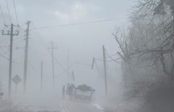 Daños por tormentas en todo Alabama el jueves Daños por tormentas en todo Alabama el jueves