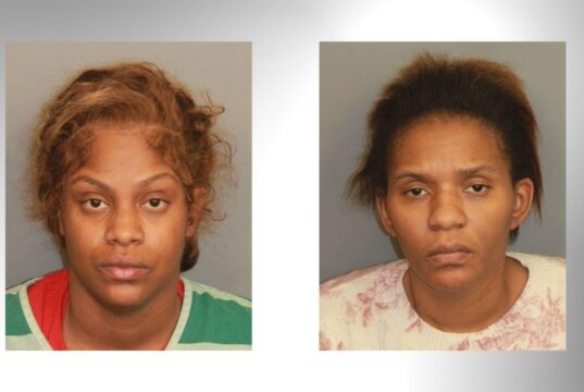 Dos mujeres de Birmingham arrestadas en relación con una investigación de drogas en Homewood Dos mujeres de Birmingham arrestadas en relación con una investigación de drogas en Homewood