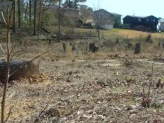 El primer refugio contra tormentas de la ciudad de Irondale se abrirá a finales de este año El primer refugio contra tormentas de la ciudad de Irondale se abrirá a finales de este año