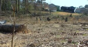 El primer refugio contra tormentas de la ciudad de Irondale se abrirá a finales de este año El primer refugio contra tormentas de la ciudad de Irondale se abrirá a finales de este año