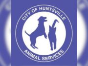 Huntsville ofrecerá comida y vales de esterilización gratuitos en el evento Kisses & Kibbles Huntsville ofrecerá comida y vales de esterilización gratuitos en el evento Kisses & Kibbles