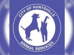 Huntsville ofrecerá comida y vales de esterilización gratuitos en el evento Kisses & Kibbles Huntsville ofrecerá comida y vales de esterilización gratuitos en el evento Kisses & Kibbles