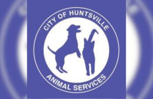 Huntsville ofrecerá comida y vales de esterilización gratuitos en el evento Kisses & Kibbles Huntsville ofrecerá comida y vales de esterilización gratuitos en el evento Kisses & Kibbles