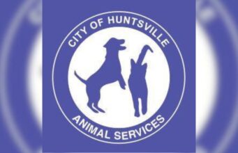 Huntsville ofrecerá comida y vales de esterilización gratuitos en el evento Kisses & Kibbles Huntsville ofrecerá comida y vales de esterilización gratuitos en el evento Kisses & Kibbles