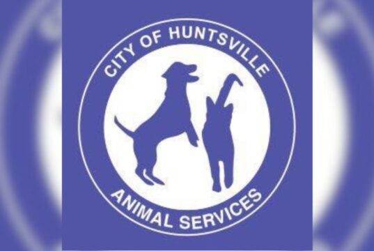 Huntsville ofrecerá comida y vales de esterilización gratuitos en el evento Kisses & Kibbles Huntsville ofrecerá comida y vales de esterilización gratuitos en el evento Kisses & Kibbles