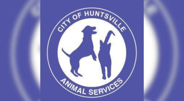 Huntsville ofrecerá comida y vales de esterilización gratuitos en el evento Kisses & Kibbles Huntsville ofrecerá comida y vales de esterilización gratuitos en el evento Kisses & Kibbles