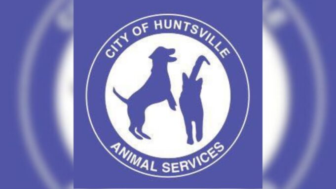 Huntsville ofrecerá comida y vales de esterilización gratuitos en el evento Kisses & Kibbles Huntsville ofrecerá comida y vales de esterilización gratuitos en el evento Kisses & Kibbles