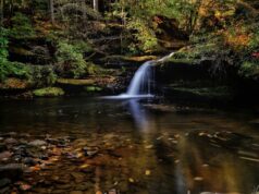 Los Parques Estatales de Alabama anuncian a los ganadores de la 10.ª edición anual de los premios Eagle Awards Los Parques Estatales de Alabama anuncian a los ganadores de la 10.ª edición anual de los premios Eagle Awards