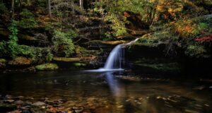 Los Parques Estatales de Alabama anuncian a los ganadores de la 10.ª edición anual de los premios Eagle Awards Los Parques Estatales de Alabama anuncian a los ganadores de la 10.ª edición anual de los premios Eagle Awards