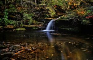 Los Parques Estatales de Alabama anuncian a los ganadores de la 10.ª edición anual de los premios Eagle Awards Los Parques Estatales de Alabama anuncian a los ganadores de la 10.ª edición anual de los premios Eagle Awards
