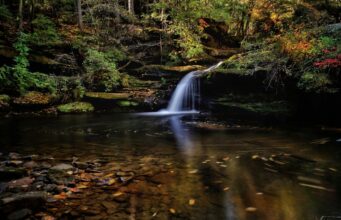 Los Parques Estatales de Alabama anuncian a los ganadores de la 10.ª edición anual de los premios Eagle Awards Los Parques Estatales de Alabama anuncian a los ganadores de la 10.ª edición anual de los premios Eagle Awards