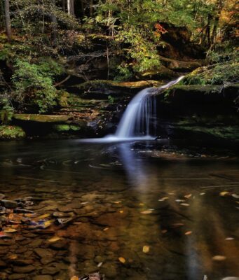 Los Parques Estatales de Alabama anuncian a los ganadores de la 10.ª edición anual de los premios Eagle Awards Los Parques Estatales de Alabama anuncian a los ganadores de la 10.ª edición anual de los premios Eagle Awards