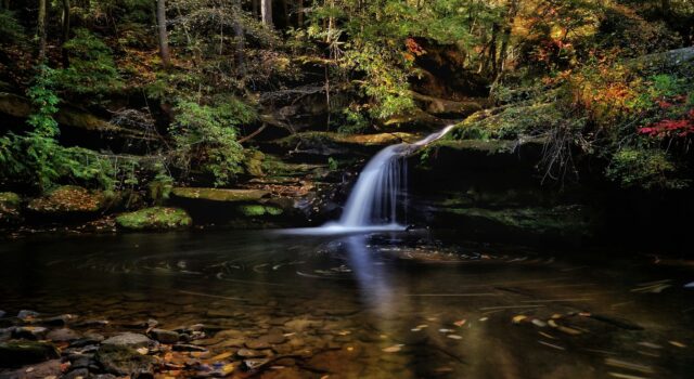 Los Parques Estatales de Alabama anuncian a los ganadores de la 10.ª edición anual de los premios Eagle Awards Los Parques Estatales de Alabama anuncian a los ganadores de la 10.ª edición anual de los premios Eagle Awards