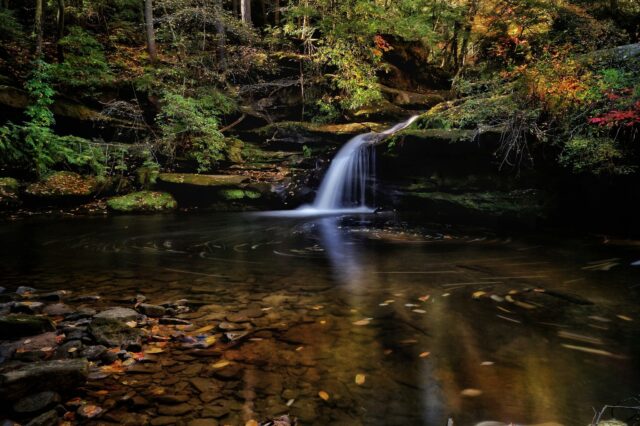 Los Parques Estatales de Alabama anuncian a los ganadores de la 10.ª edición anual de los premios Eagle Awards Los Parques Estatales de Alabama anuncian a los ganadores de la 10.ª edición anual de los premios Eagle Awards