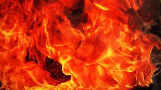 Servicio Forestal de EE. UU. responde a incendio forestal en el condado de Talladega Servicio Forestal de EE. UU. responde a incendio forestal en el condado de Talladega