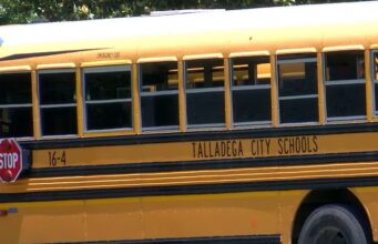 Talladega busca soluciones tras incendio en dugout y pérdida de uniformes escolares Talladega busca soluciones tras incendio en dugout y pérdida de uniformes escolares