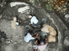 Hallazgo de fósiles de megafauna en Costa Rica revela secretos del Pleistoceno Hallazgo de fósiles de megafauna en Costa Rica revela secretos del Pleistoceno