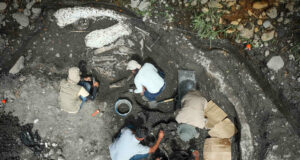 Hallazgo de fósiles de megafauna en Costa Rica revela secretos del Pleistoceno Hallazgo de fósiles de megafauna en Costa Rica revela secretos del Pleistoceno