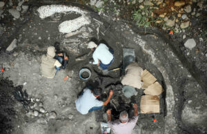 Hallazgo de fósiles de megafauna en Costa Rica revela secretos del Pleistoceno Hallazgo de fósiles de megafauna en Costa Rica revela secretos del Pleistoceno