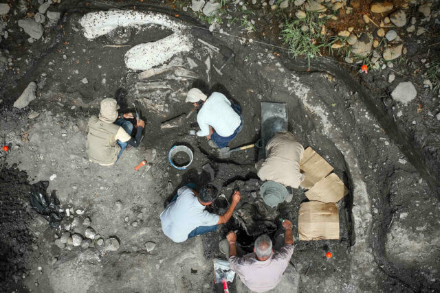 Hallan fósiles de perezoso gigante y mastodonte de al menos 10.000 años en Costa Rica Hallazgo de fósiles de megafauna en Costa Rica revela secretos del Pleistoceno