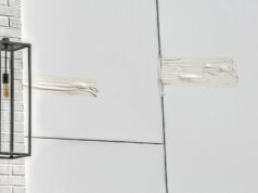 Mujer de Florida acusada de intento de asesinato por presuntamente disparar a Rihanna Mujer de Florida acusada de intento de asesinato por presuntamente disparar a Rihanna