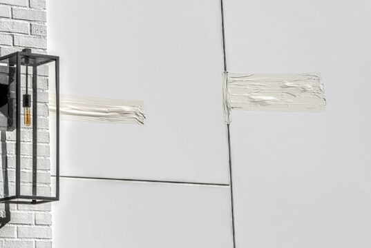 Mujer de Florida acusada de intento de asesinato por presuntamente disparar a Rihanna Mujer de Florida acusada de intento de asesinato por presuntamente disparar a Rihanna