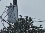 Casi 1000 clientes sin luz en Alabama tras fuertes tormentas Casi 1000 clientes sin luz en Alabama tras fuertes tormentas