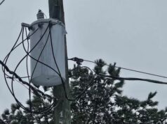 Casi 1000 clientes sin luz en Alabama tras fuertes tormentas Casi 1000 clientes sin luz en Alabama tras fuertes tormentas