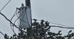 Casi 1000 clientes sin luz en Alabama tras fuertes tormentas Casi 1000 clientes sin luz en Alabama tras fuertes tormentas