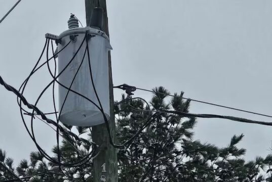 Casi 1000 clientes sin luz en Alabama tras fuertes tormentas Casi 1000 clientes sin luz en Alabama tras fuertes tormentas