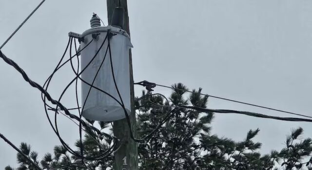 Casi 1000 clientes sin luz en Alabama tras fuertes tormentas Casi 1000 clientes sin luz en Alabama tras fuertes tormentas