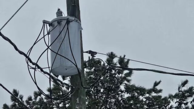 Casi 1000 clientes sin luz en Alabama tras fuertes tormentas